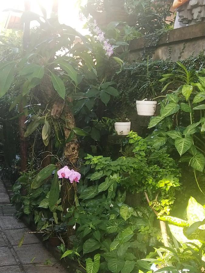 אמד Santa Fe Homestay & Warong מראה חיצוני תמונה