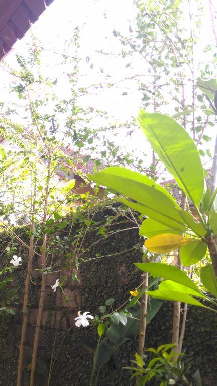 אמד Santa Fe Homestay & Warong מראה חיצוני תמונה
